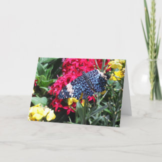 Cartão Blue Butterfly Picture in Flowers Greeting Card