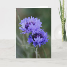 Cartão Blue Cornflowers