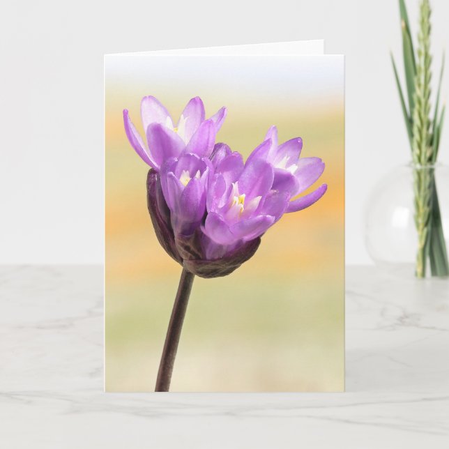 Cartão Blue Dick Wildflower (Frente)