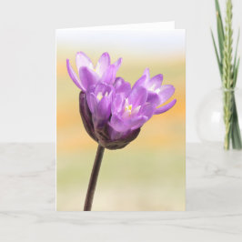 Cartão Blue Dick Wildflower