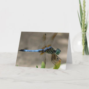 Cartão Blue Dragonfly Notecard