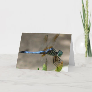 Cartão Blue Dragonfly Notecard