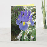 Cartão Blue Dutch Iris Flowers Floral Card<br><div class="desc">Blue Dutch Iris Flowers Floral Card. Designed from one of my original garden photographs & my original writing,  from my garden,  enjoy!</div>