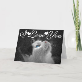 Cartão Blue Eyed Cat Photo Image I Love You