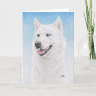 Cartão Blue Eyed White Siberian Husky