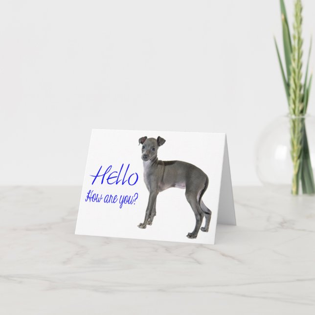Cartão Blue Hello Cinza Italiana Greyhound Puppy Dog (Frente)