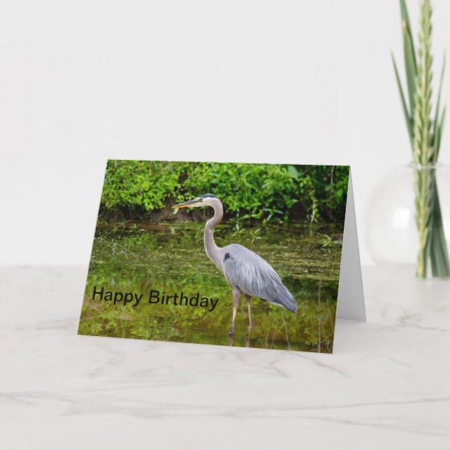 Cartão Blue Heron Happy Birthday (Frente)