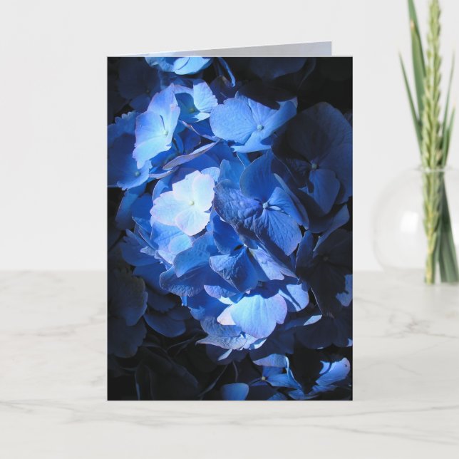 Cartão Blue Hydrangea - Greeting Card (Frente)