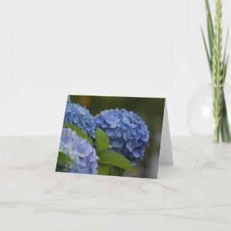 Cartão Blue Hydrangea Note Card