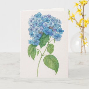 Cartão Blue Hydrangea Pensando em Você