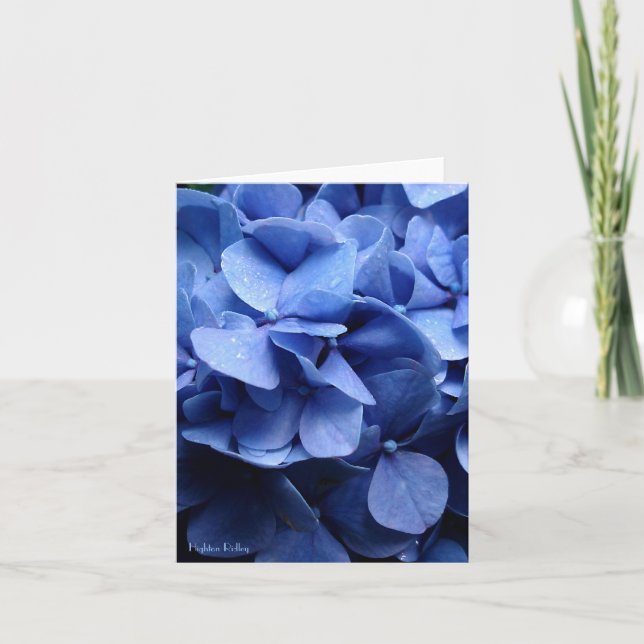 Cartão Blue Hydrangeas blank notelet / card (Frente)