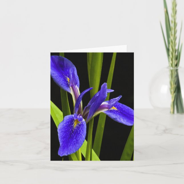 Cartão Blue Iris Blank Note Card (Frente)