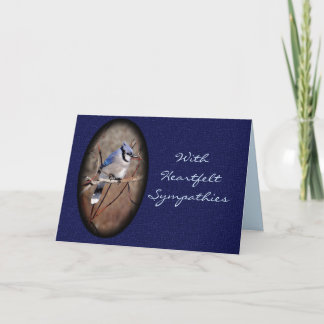 Cartão Blue Jay 8878- customize any occasion