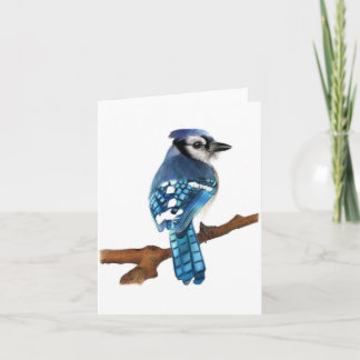 Cartão Blue Jay bird blank Folded Greeting Card