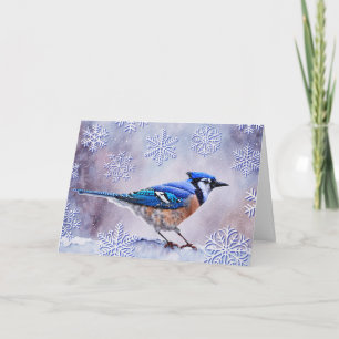 Cartão Blue Jay Bird Snow