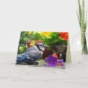 Cartão Blue Jay Flowers Mother's Day