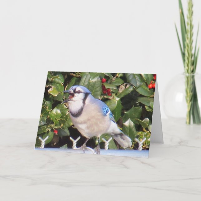 Cartão Blue Jay Greeting Card (Frente)
