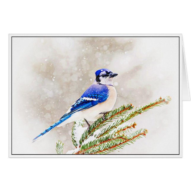 Cartão Blue Jay no inverno (Frente Horizontal)