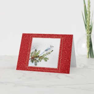 Cartão Blue Jay no Pine Branch Christmas