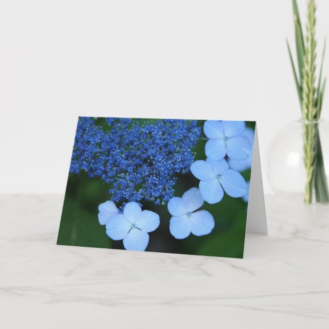 Cartão Blue Lace Greeting Card (Frente)