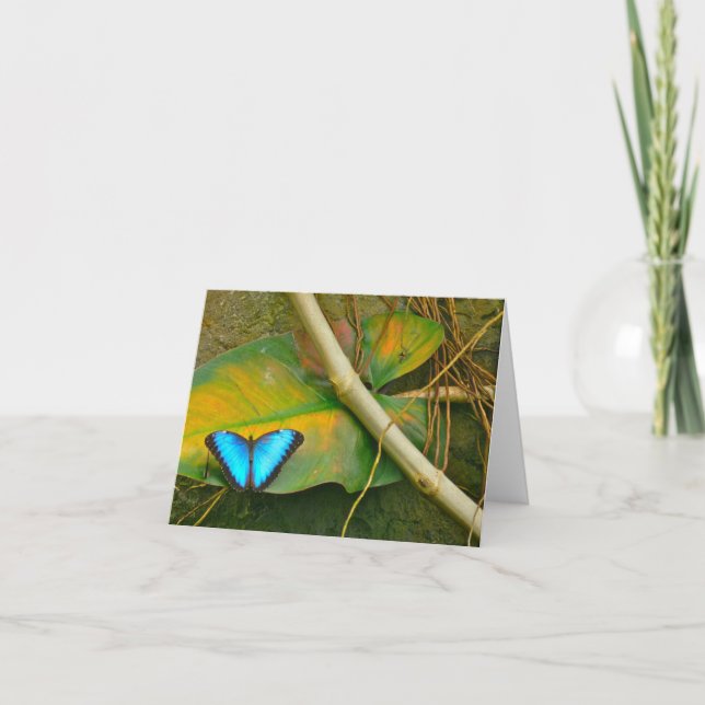 CARTÃO BLUE MORPHO BUTTERFLY NOTECARD (Frente)