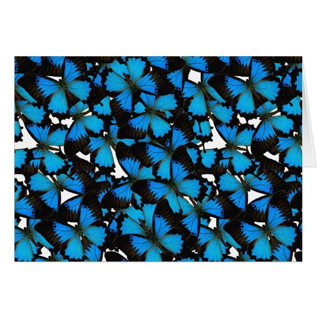 Cartão Blue Mountain Swallowtail (Frente horizontal)