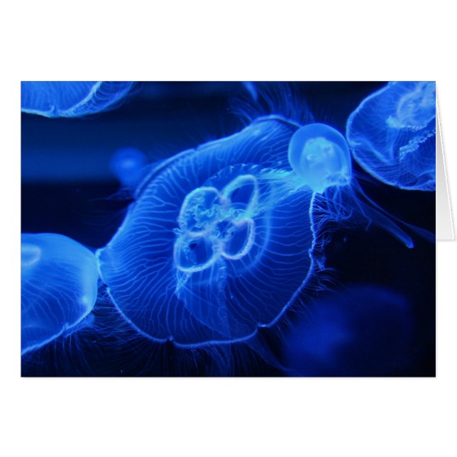 Cartão Blue Neon Jellyfish (Frente Horizontal)