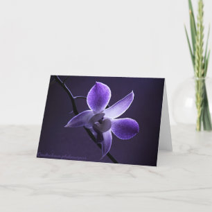 Cartão Blue Orchid