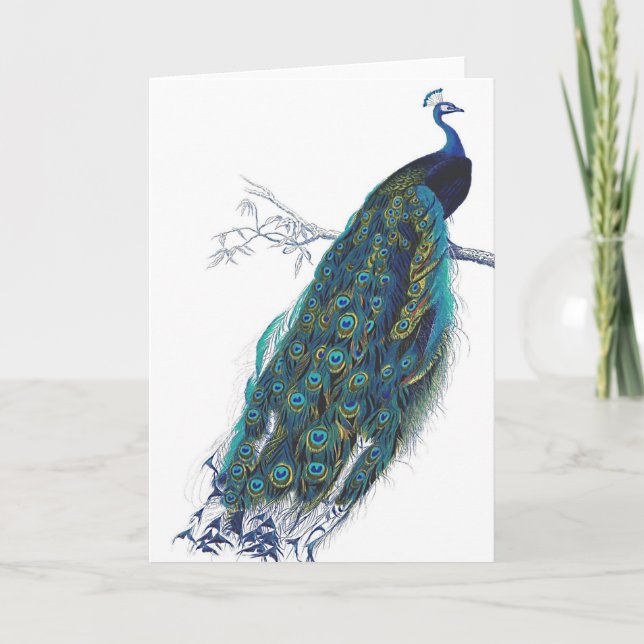 Cartão Blue Peacock with beautiful tail feathers (Frente)