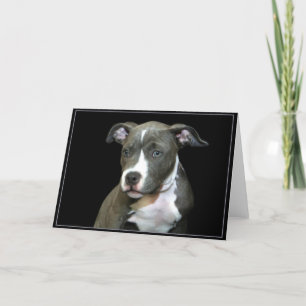 Cartão Blue Pitbull Puppy Greeting Card