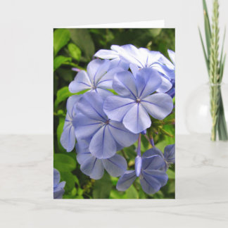 Cartão Blue Thinking of You