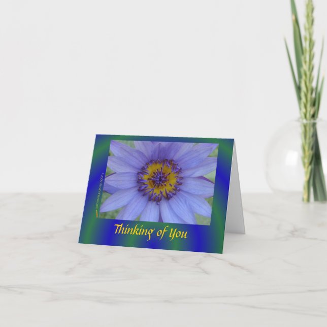 Cartão Blue Water Lily Flower Sympathy Card (notecard) (Frente)