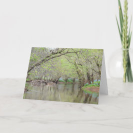 Cartão Bluebells at the Creek - Nature Greeting Card