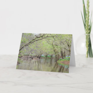 Cartão Bluebells at the Creek - Nature Greeting Card
