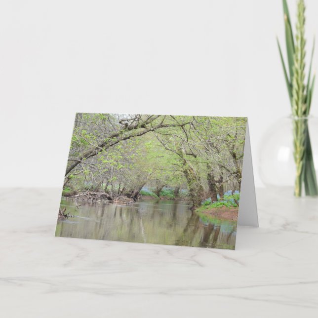 Cartão Bluebells at the Creek - Nature Greeting Card (Frente)