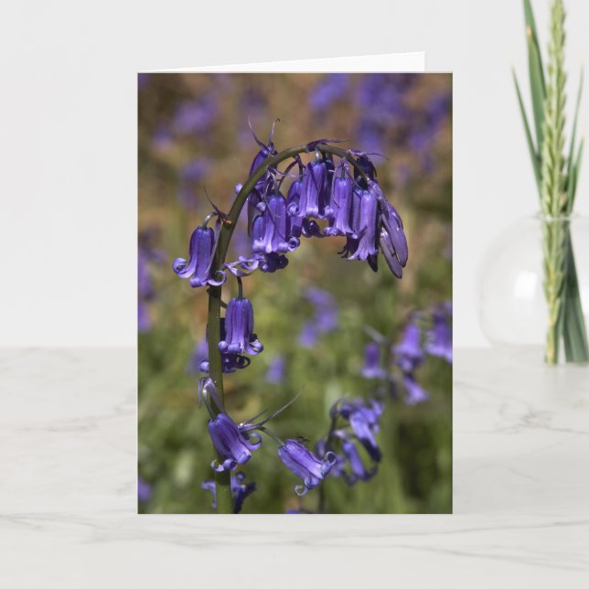Cartão Bluebells card by cARTerART (Frente)