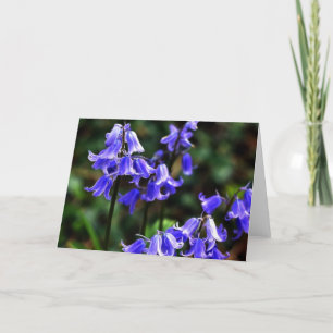 Cartão Bluebells fraturados