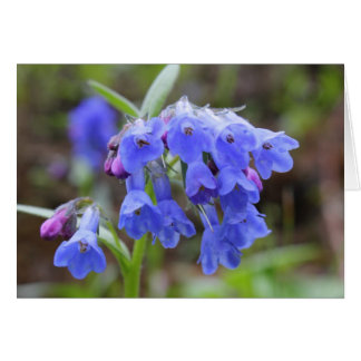 Cartão Bluebells verdes