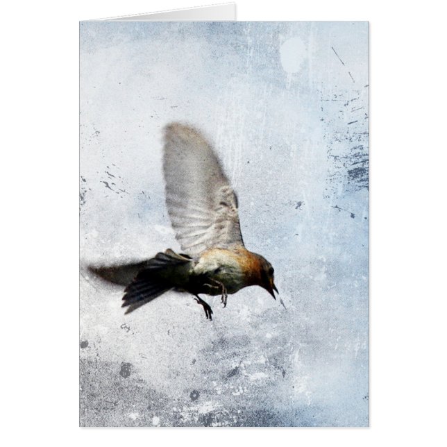 Cartão Bluebird Grunge (Frente)