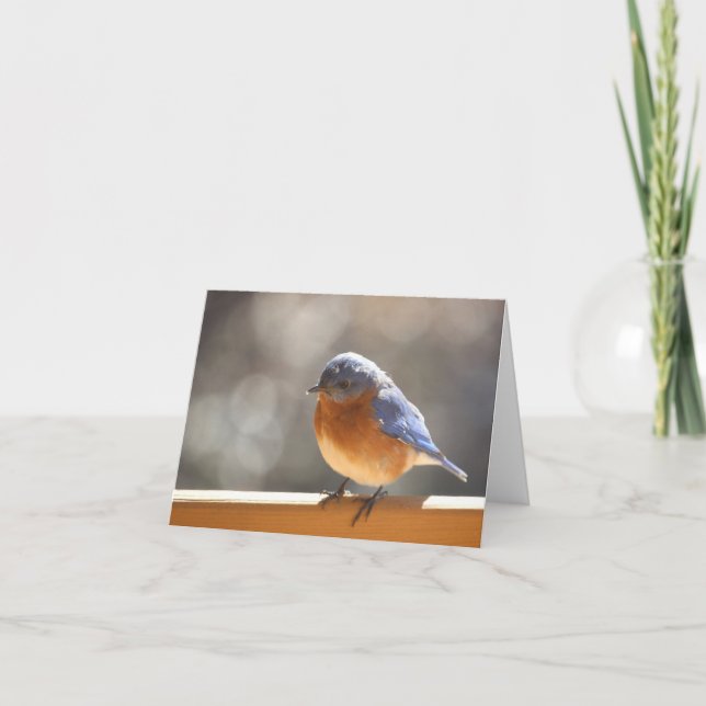 Cartão Bluebird Notecard - Blank Inside (Frente)