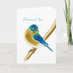 Cartão Bluebird of Happiness Thinking of You Card