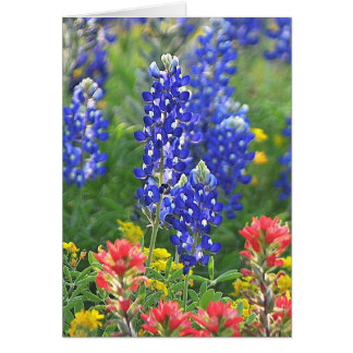 Cartão Bluebonnet estilizado