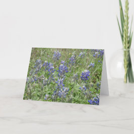 Cartão Bluebonnets de Texas
