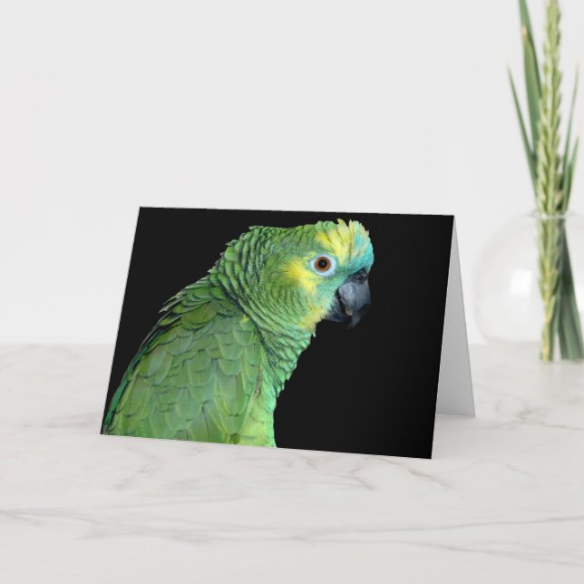 Cartão Bluefront Amazon Parrot Notecard (Frente)