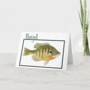 Cartão Bluegill card