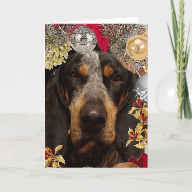 Cartão Bluetick Coonhound Dog/ Pet Photo Christmas (Frente)