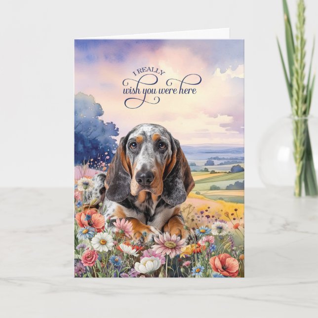 Cartão Bluetick Coonhound Dog Wildflowers Miss You (Frente)