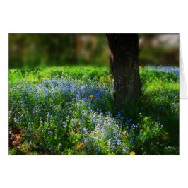 Cartão Bluets à luz do sol