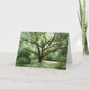 Cartão Bluffton Summer Afternoon