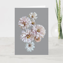 Cartão Blush Zinnia Folded Greeting Card